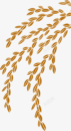 稻谷小麦粮食素材