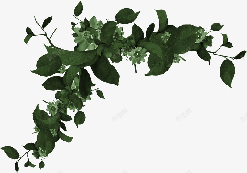 墨绿色植物装饰png免抠素材_新图网 https://ixintu.com 植物 装饰 贴图