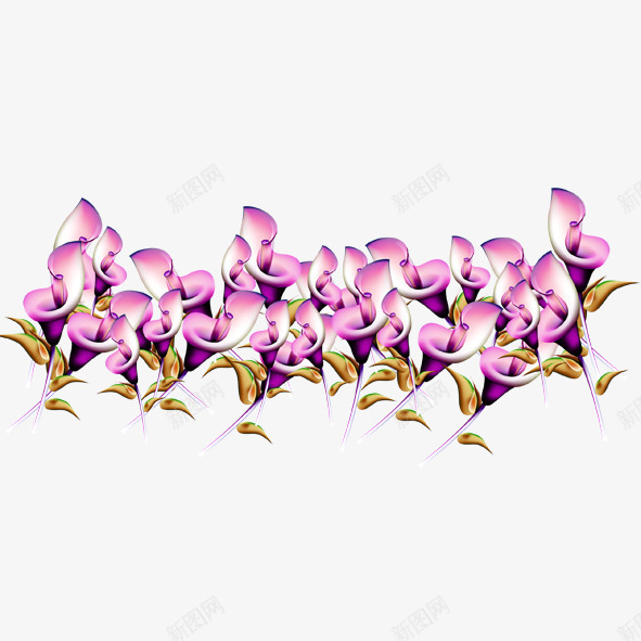 紫百合的盛开psd免抠素材_新图网 https://ixintu.com 叶子 百合 盛开 紫色 花朵 黄色