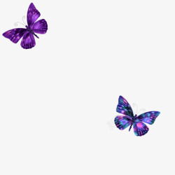 飞舞彩蝶紫色蝴蝶高清图片