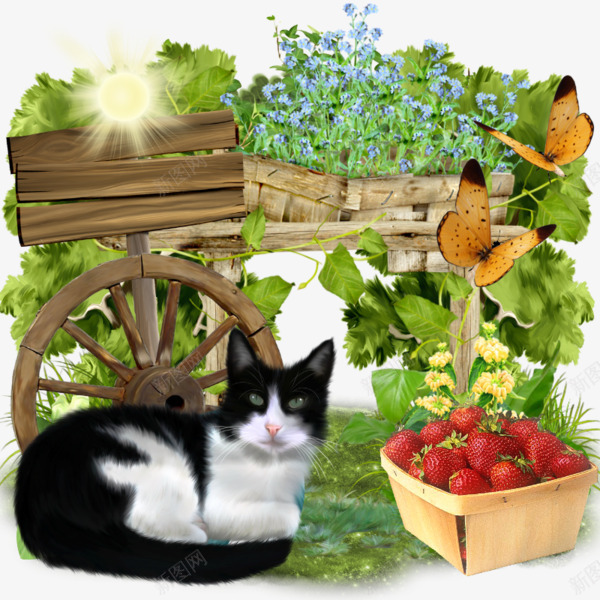 花圃前的猫咪和水果png免抠素材_新图网 https://ixintu.com PNG素材 水果 猫咪 花圃