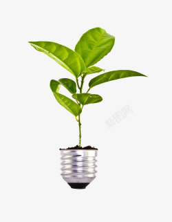 灯泡上的植物素材