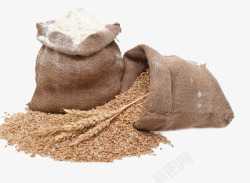 装着面粉和小麦的两布袋素材