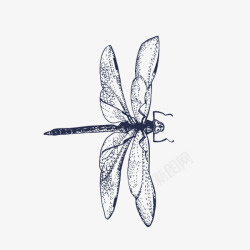 蜻蜓动物昆虫单色黑色素材