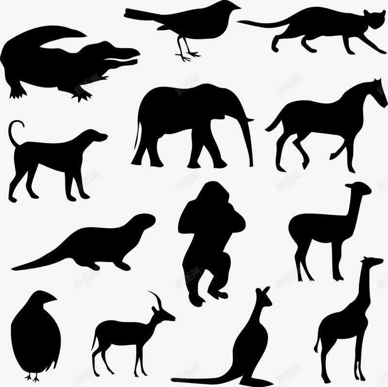 动物剪影图标png_新图网 https://ixintu.com 剪影 动作 动物 可爱的 猫咪 猿猴 袋鼠 袋鼠剪影 马匹 鸽子