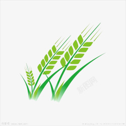 绿色小麦素材
