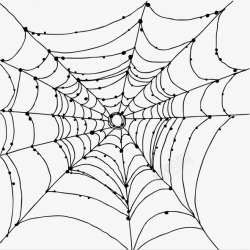 褐色蜘蛛网合成图合成蜘蛛网高清图片