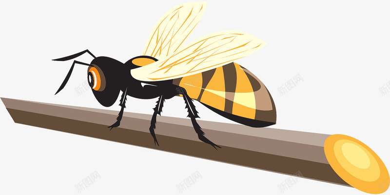 树枝上的蜜蜂png免抠素材_新图网 https://ixintu.com 昆虫 树枝上 等待 蜜蜂