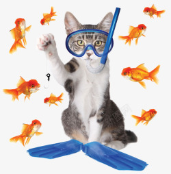 创意钓鱼创意猫咪钓鱼高清图片