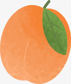 橘黄色桃子矢量图素材