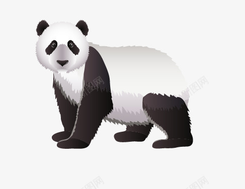 一只大熊猫png免抠素材_新图网 https://ixintu.com 动物 国宝 熊猫 黑白