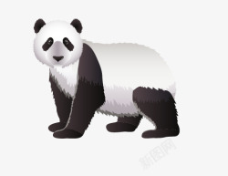 一只大熊猫素材