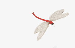 红蜻蜓手绘手绘红蜻蜓高清图片
