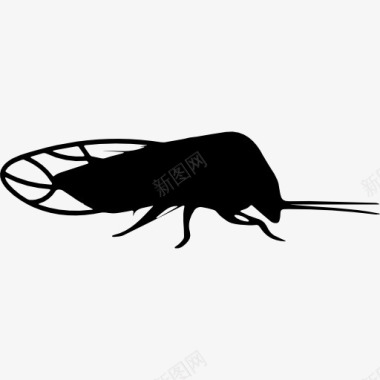 昆虫形状的木虱图标图标