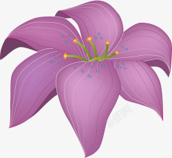紫色绘百合花素材