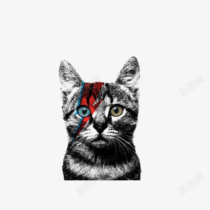 黑色猫咪png免抠素材_新图网 https://ixintu.com 喵星人 宠物猫 手绘猫咪 猫免扣元素 猫咪插画