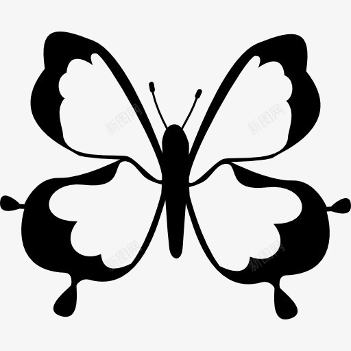 蝴蝶俯视图标png_新图网 https://ixintu.com buttterfly 动物 昆虫 蝴蝶 设计上看