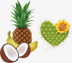 吸收能源菠萝和仙人掌高清图片