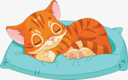 睡觉流口水的猫一只睡得很舒服的猫咪高清图片