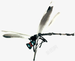 昆虫水墨水墨画昆虫蜻蜓高清图片