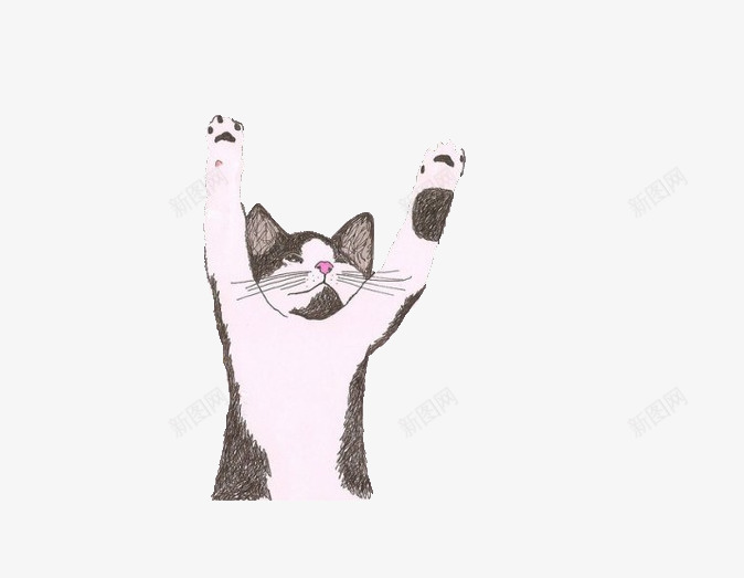 可爱猫咪玩耍png免抠素材_新图网 https://ixintu.com 卡通手绘 猫咪 猫咪手绘 玩耍