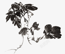 中国画水墨花卉喇叭花素材