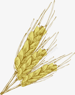 小麦手绘装饰矢量图素材