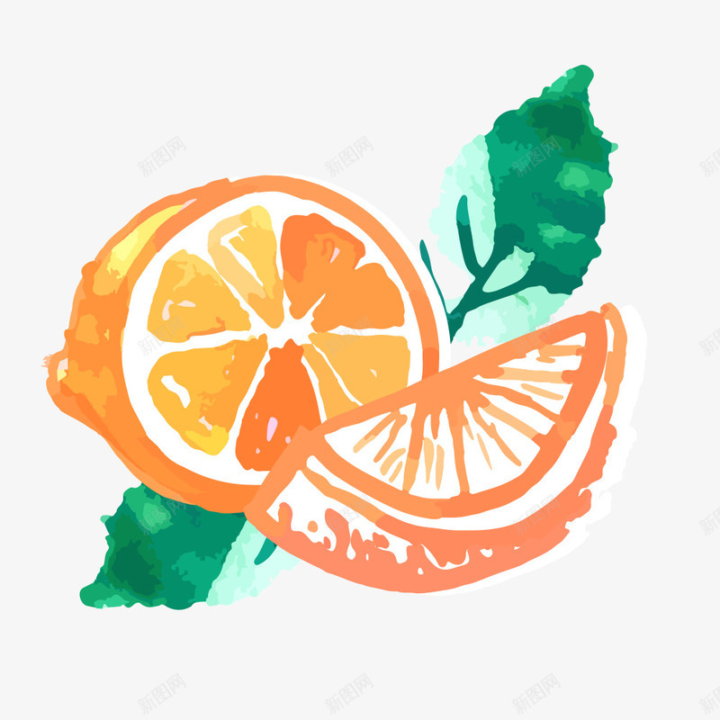 水彩橙子png免抠素材_新图网 https://ixintu.com 卡通 手绘 果肉 橘色的 橙子 水彩 水果 绿色的