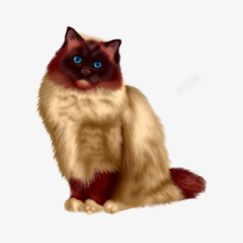 卡通猫咪png免抠素材_新图网 https://ixintu.com 动物 可爱 手绘 猫咪 蓝眼睛