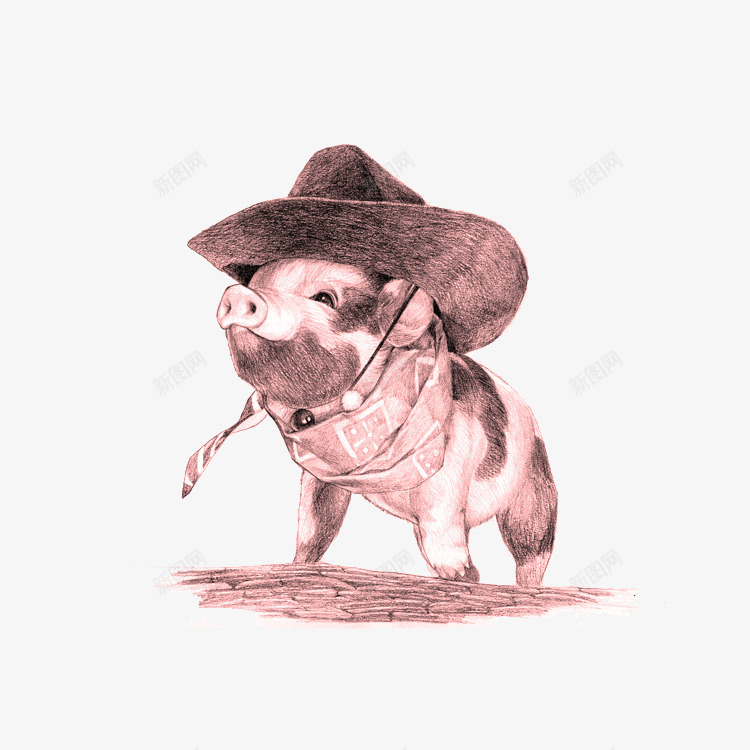 戴着帽子的小猪png免抠素材_新图网 https://ixintu.com 动物 小猪 牛仔帽 粉色