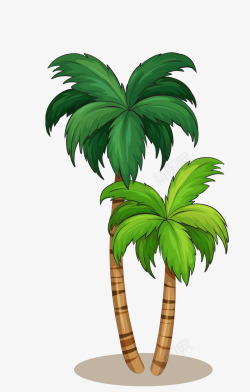 大王椰子树椰子树高清图片