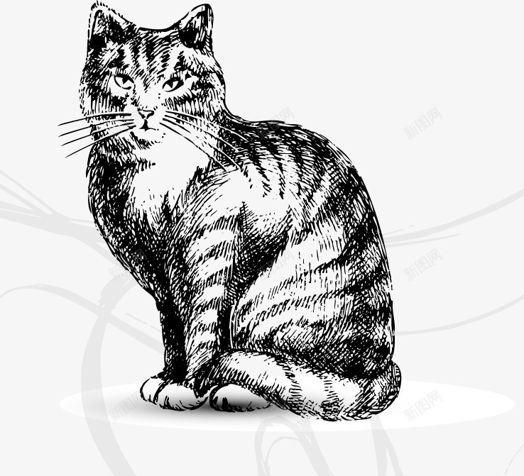 手绘猫png免抠素材_新图网 https://ixintu.com 动物 宠物 手绘 手绘猫狗 猫咪 猫猫 钢笔画 铅笔画