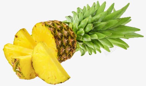 切开的菠萝png免抠素材_新图网 https://ixintu.com 水果 热带水果 菠萝 食品