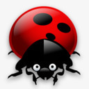 瓢虫错误昆虫动物微小的错误png免抠素材_新图网 https://ixintu.com animal bug insect ladybug 动物 昆虫 瓢虫 错误