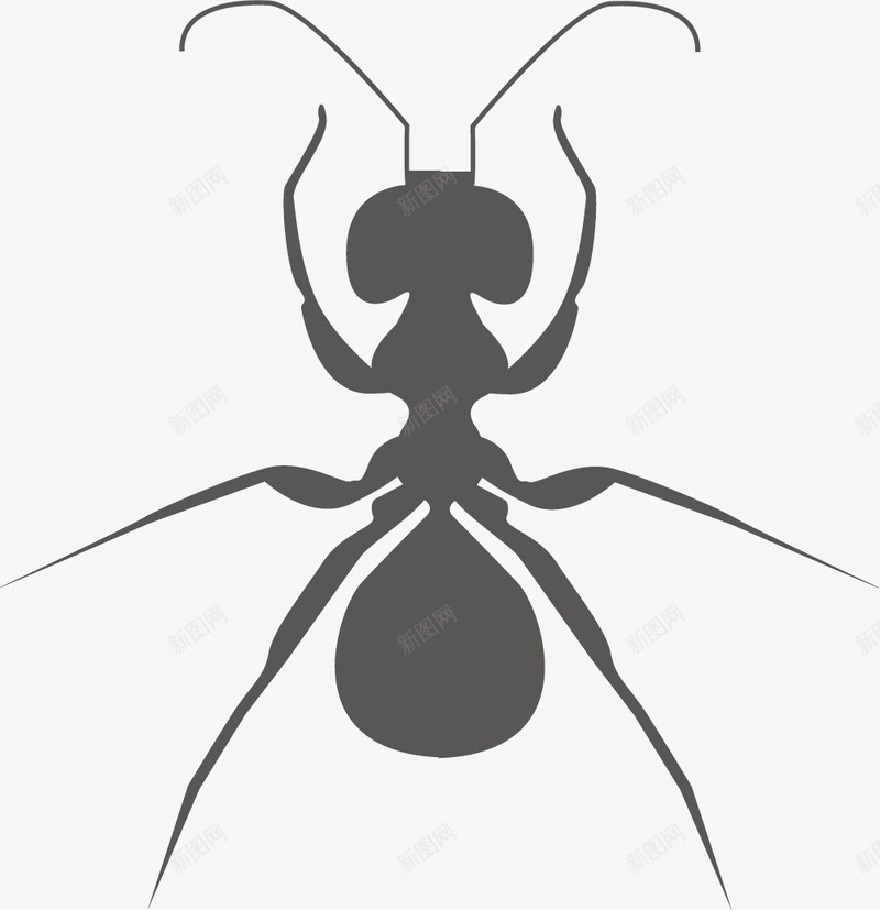 蚂蚁触手矢量图图标eps_新图网 https://ixintu.com 昆虫蚂蚁 蚂蚁 触手 黑色 黑色蚂蚁 黑蚂蚁 矢量图