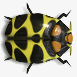 六脚虫黄色甲壳虫高清图片