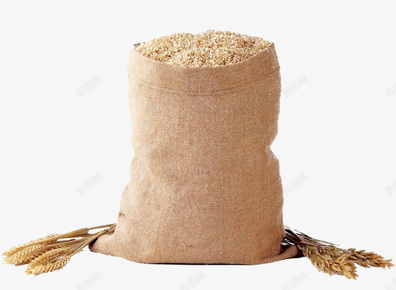 一代小麦png免抠素材_新图网 https://ixintu.com 小麦 布袋 粮食 麦子