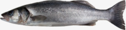 尖嘴鱼免抠素材黑色大带鱼高清图片