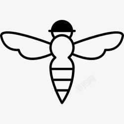 蜇蜜蜂有刺的轮廓图标高清图片