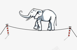 大象走钢丝绳素材