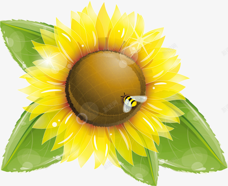 向日葵和蜜蜂png免抠素材_新图网 https://ixintu.com 光照 吸收 太阳 太阳光照射 葵花