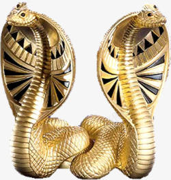 埃及金色眼镜蛇素材