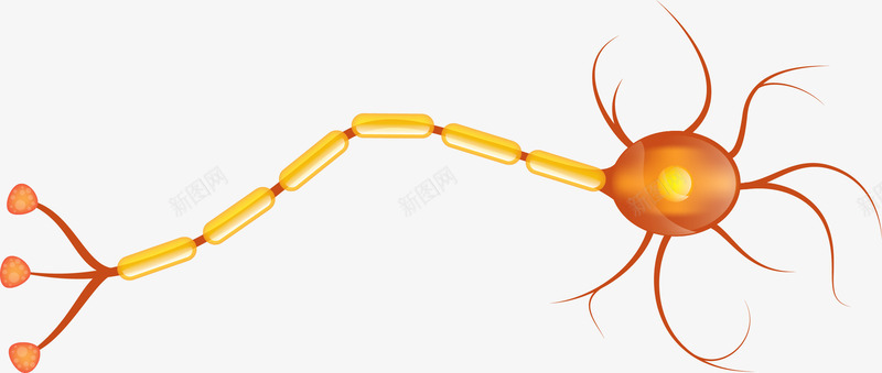 橘色神经卡通细胞矢量图ai免抠素材_新图网 https://ixintu.com 人体组成 人体细胞 橘色 橘色细胞 矢量图 矢量细胞 神经 神经元