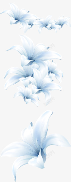 白色百合花朵海报素材