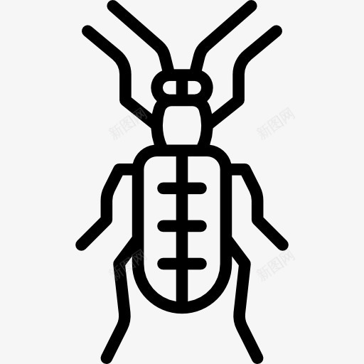 芦笋甲虫图标png_新图网 https://ixintu.com Crioceris 动物 昆虫