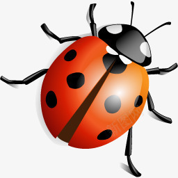瓢虫图标png_新图网 https://ixintu.com animal insect ladybird 动物 昆虫 飘虫