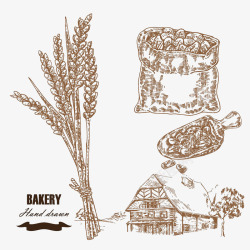 农场小麦插画素材