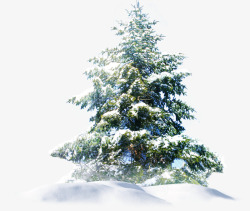 冬日创意树木雪地素材