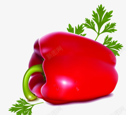 手绘西红柿图标图标
