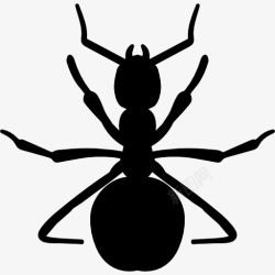 蚂蚁王国红蚂蚁的形状图标高清图片
